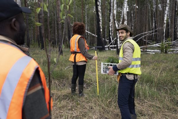 reforestation-done-by-voluntary-group(2)