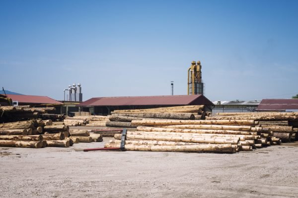Sawmill factory for lumber planks production.